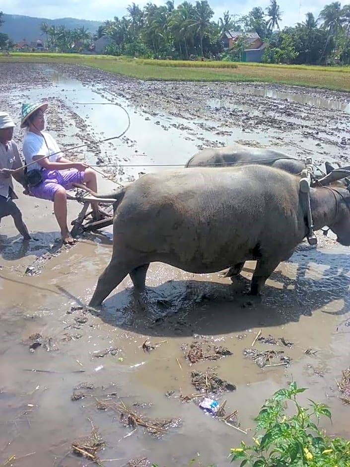 Akar Wangi 2 Homestay