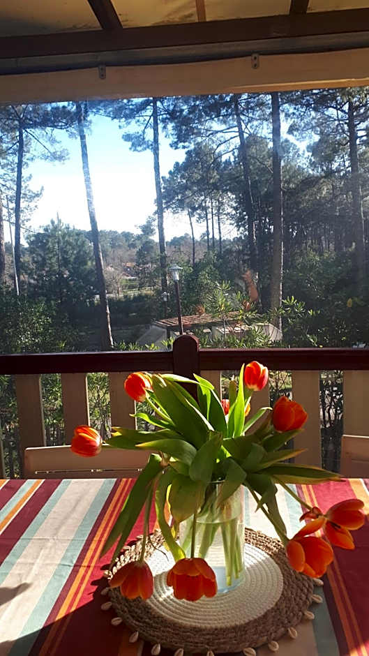 Maison mobilhome sans vis à vis au calme et en hauteur