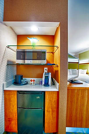 Suite, 1 King Bed with Sofa bed (1 King Bed and 1 Double Sofa Bed)