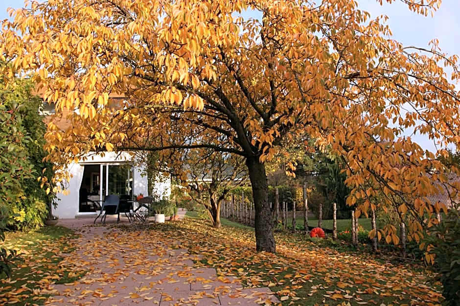 Les Chambres de La Maxe