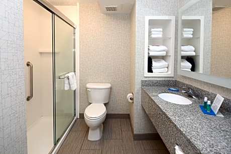 King Suite with Mobility Accessible Transfer Shower