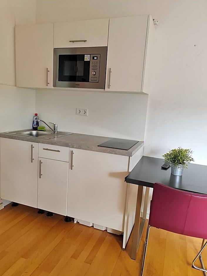 Simplex Apartments Am Ludwigsplatz