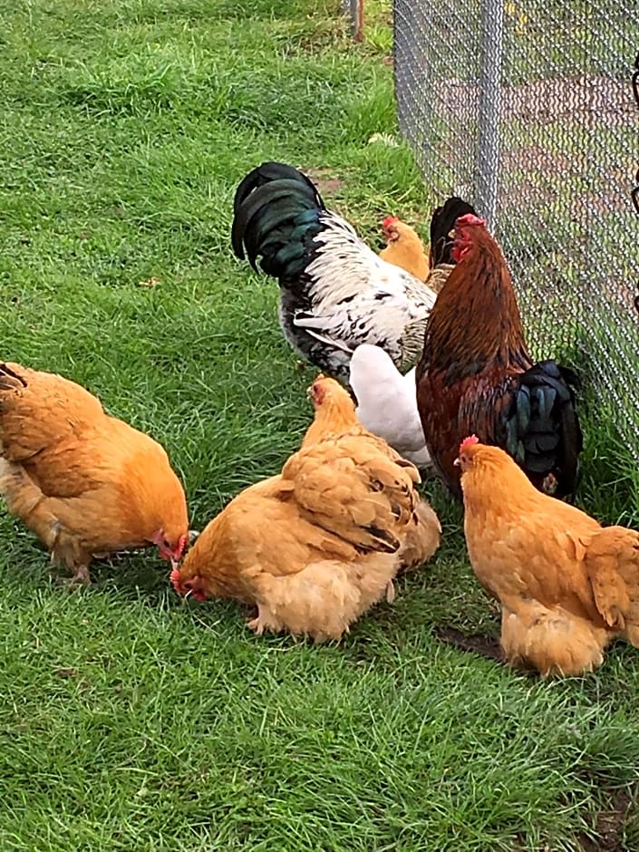 LOGIES Tuin der Zinnen