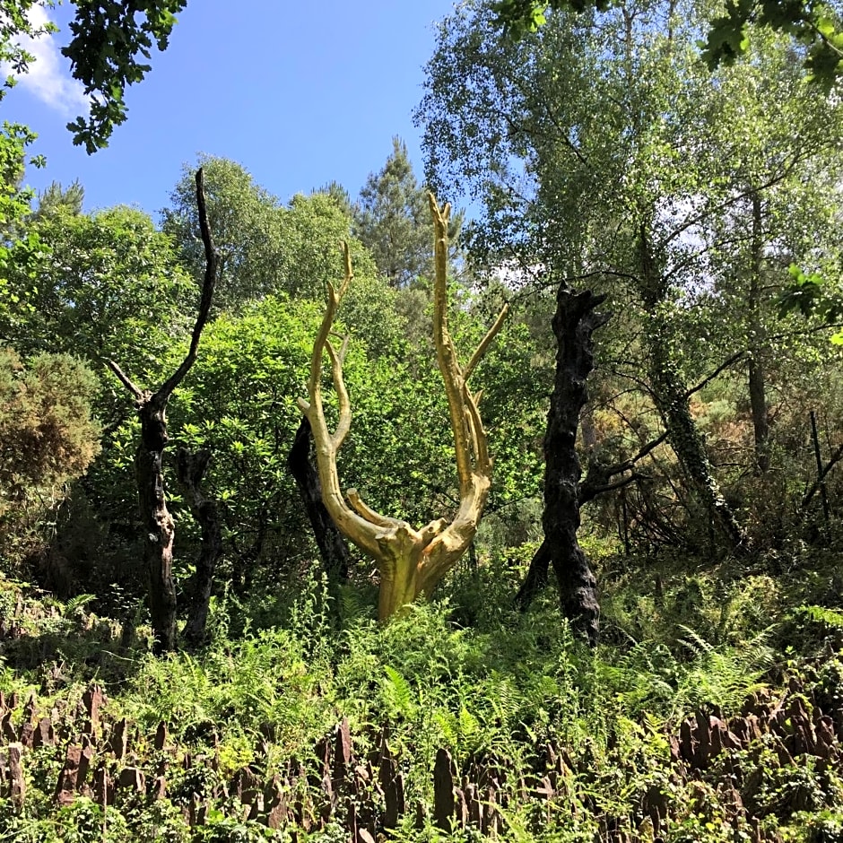 L'Hôtié de Brocéliande à Paimpont, au coeur des sites naturels et légendaires