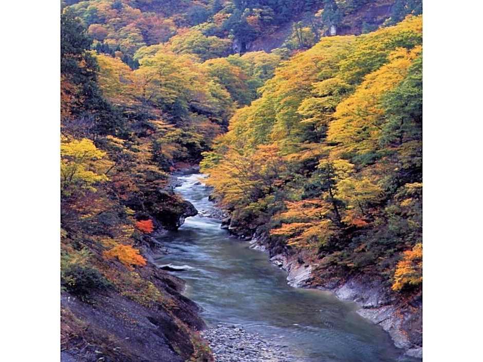 Oyasukyo Onsen Ryokan Tarobee - Vacation STAY 56764v