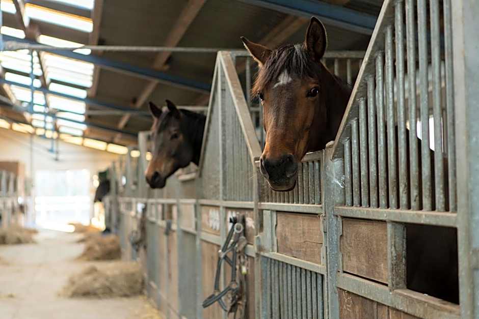 Boutique Hotel Gut Tribbevitz