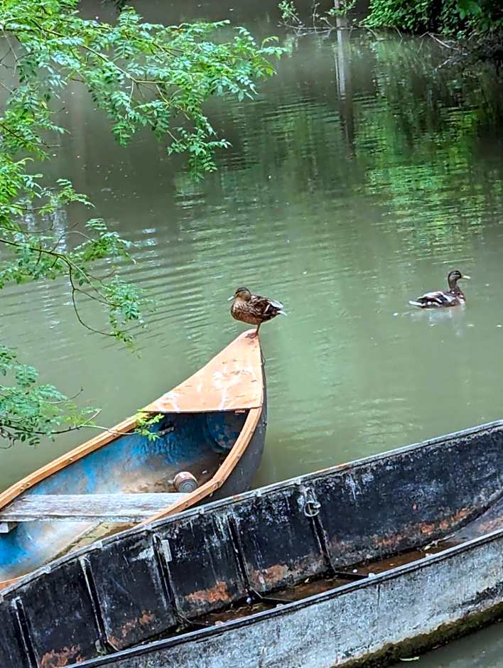 AU COEUR DU MARAIS