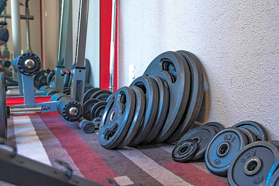 ibis Ales Centre-Ville