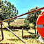 Toscana Verde