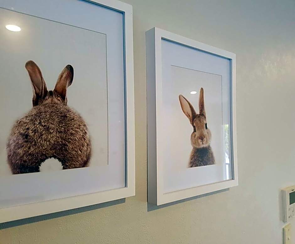 Destiny on Fitzherbert