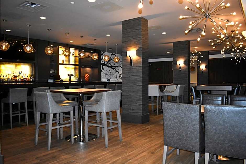 DoubleTree By Hilton Chicago - Oak Brook