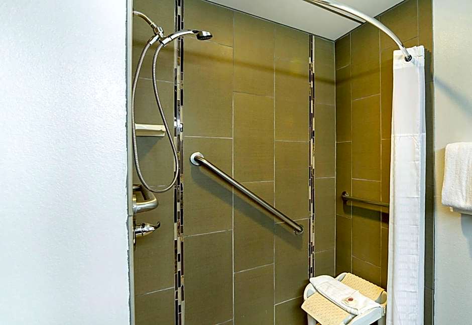 Photo 1 of 4 of 1 King Bed Suite, Accessible, Roll in Shower