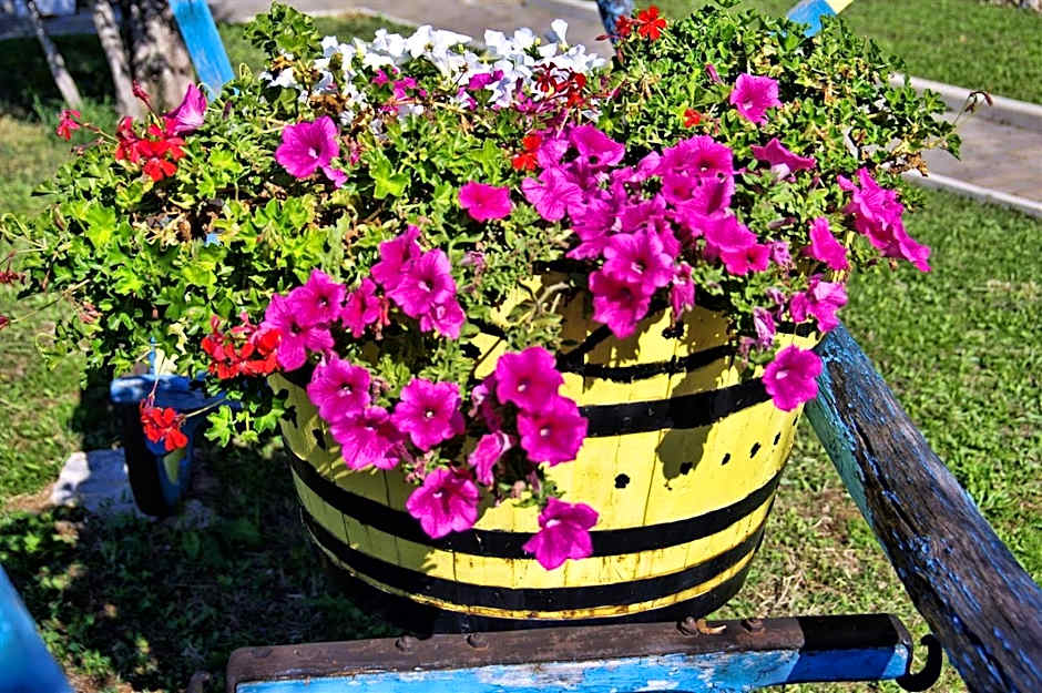 Apartments Villa Venera