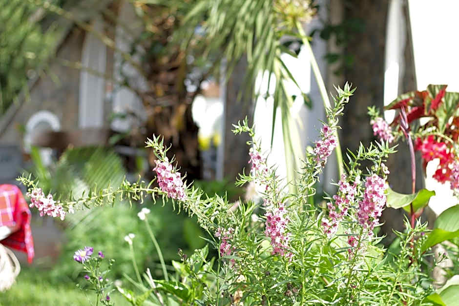 Boulevard Inn Mt Meru