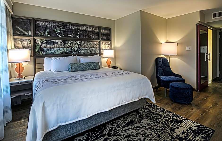 Hotel Indigo BIRMINGHAM FIVE POINTS S - UAB By IHG