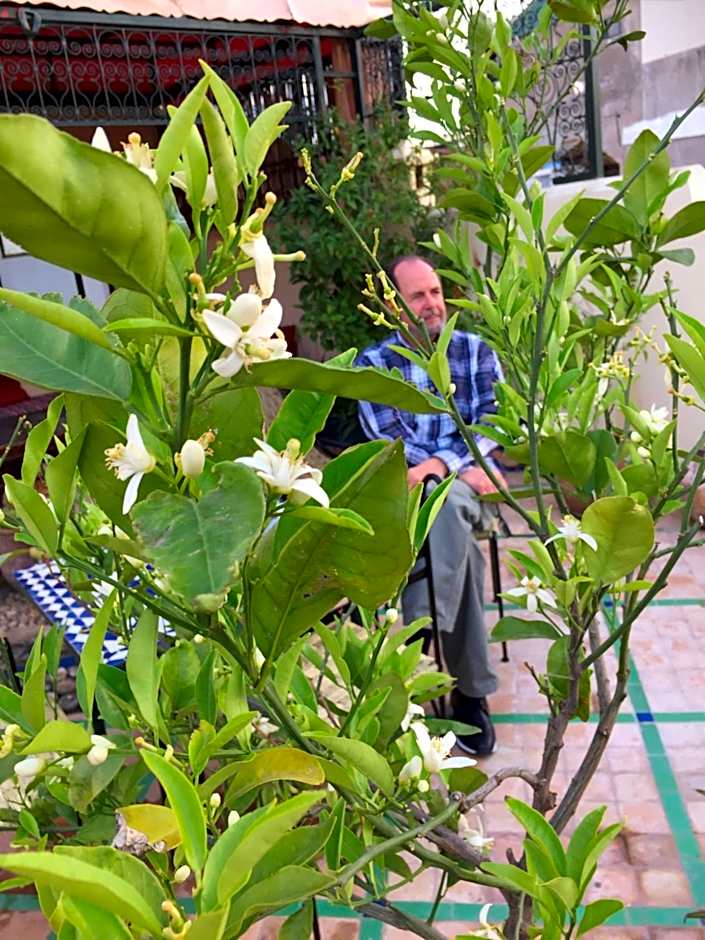 Fès Riad Scalia Traditional Guesthouse Morocco