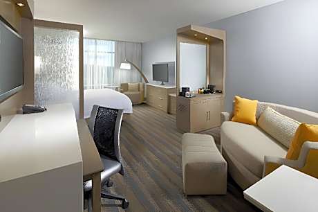 1 Bedroom Larger Suite, 1 King, Sofa bed