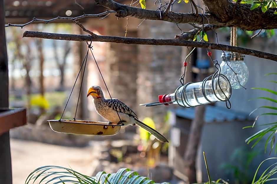 Foxy Crocodile Bush Lodge & Kruger Safari's - No Loadshedding