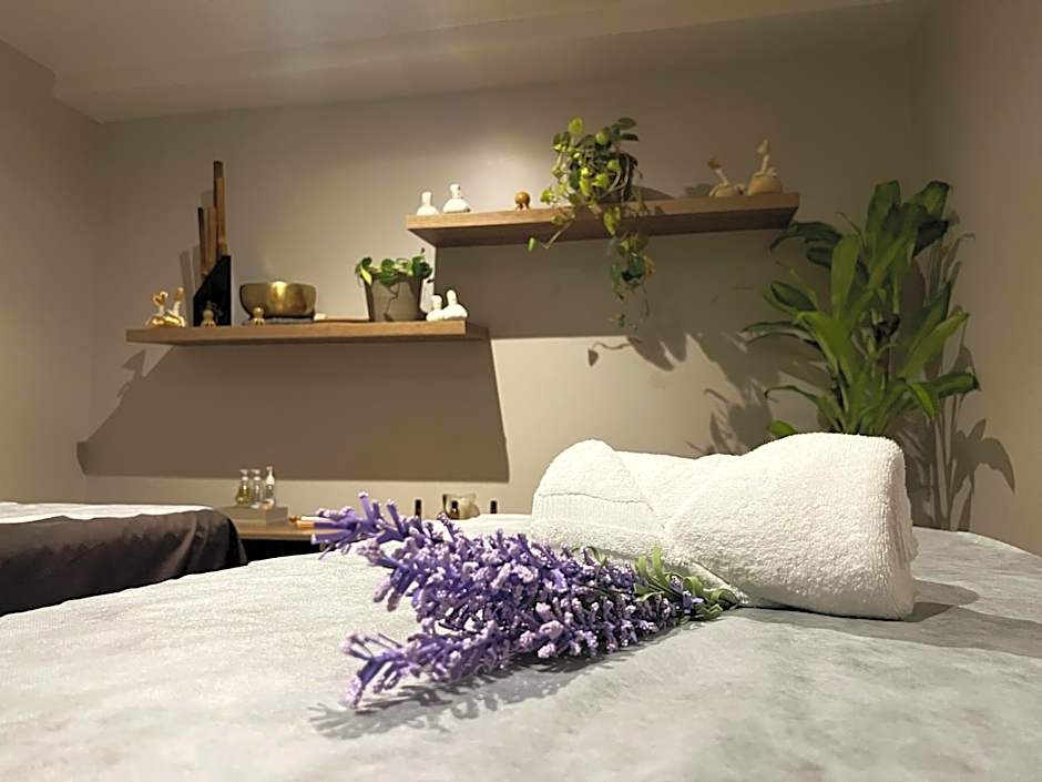 York Medellin, Curio Collection by Hilton