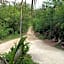 Tarsan Homestay