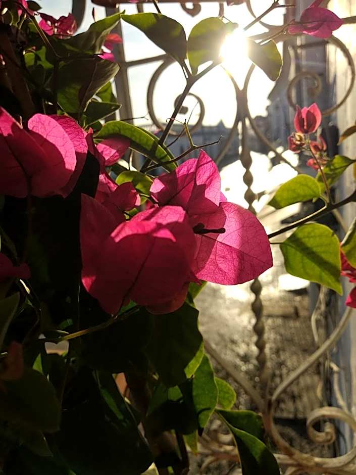 Bea's Bed & Breakfast