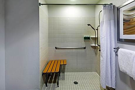 One-Bedroom King Suite with Sofa Bed