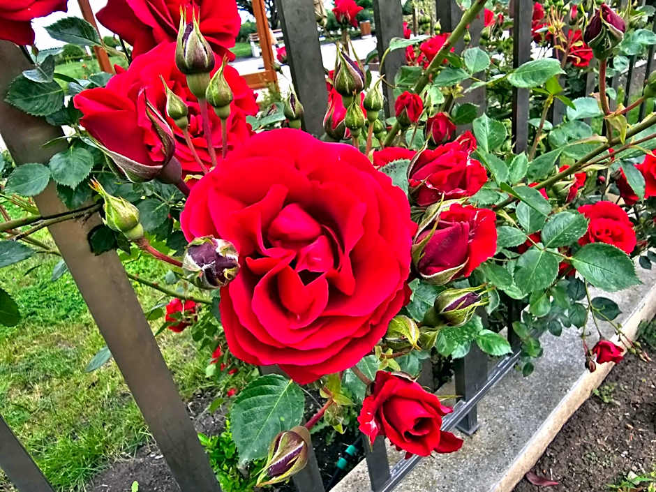 Diamond Beach Sarafovo by KP