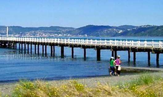 ASURE 83 By The Sea Motor Lodge