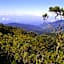 Dantica Cloud Forest Lodge