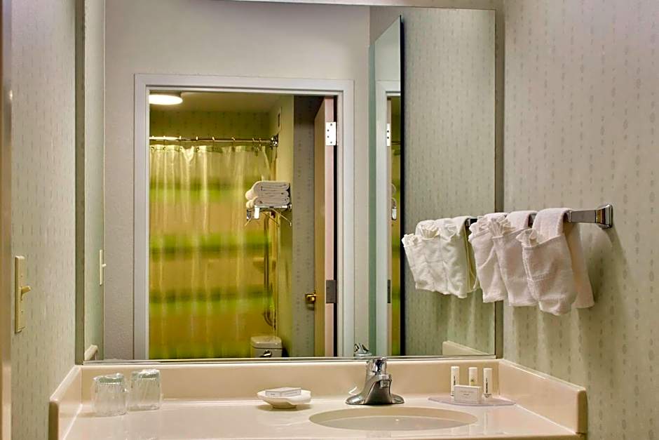 SpringHill Suites by Marriott Philadelphia Plymouth Meeting