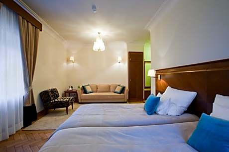 Large Double or Twin Room