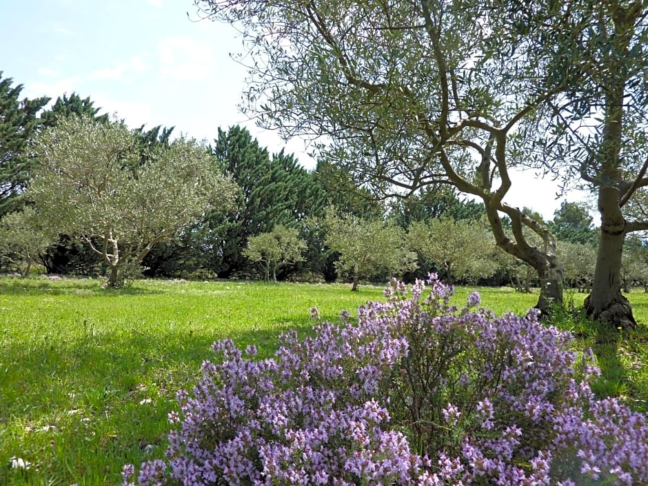 Les Mazets du Luberon