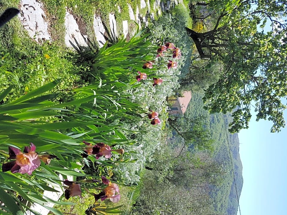 Pietrantica - Affittacamere con giardino NUOVA APERTURA a Trebiano -CITR