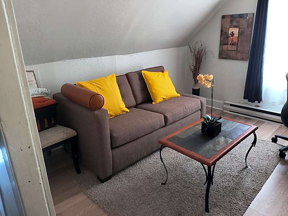 Cozy downtown one bedroom free parking