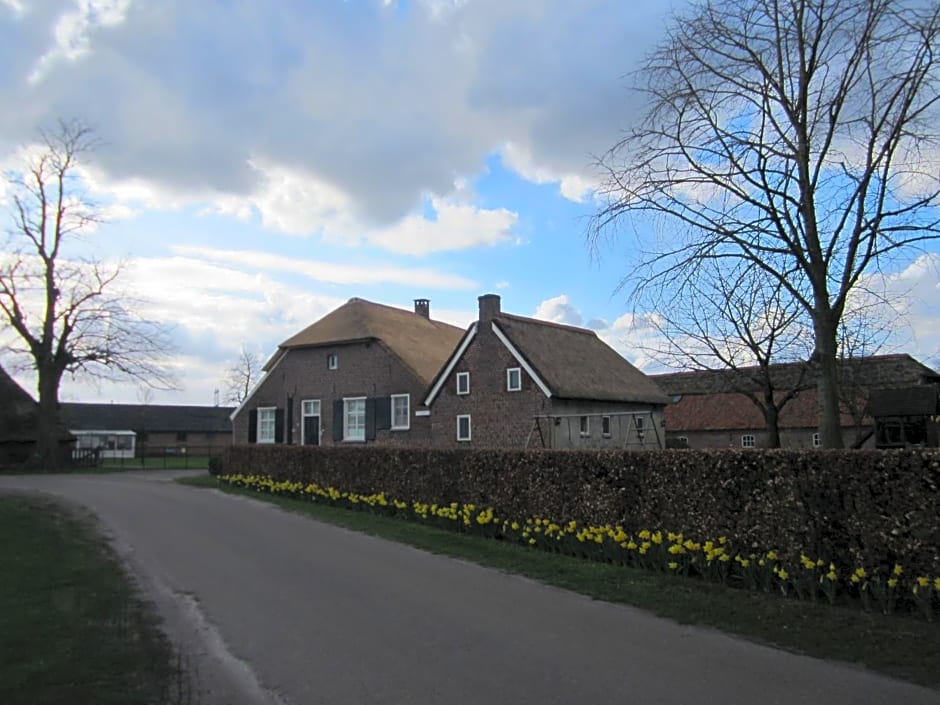 De Martiene Plats - Bed & Breakfast