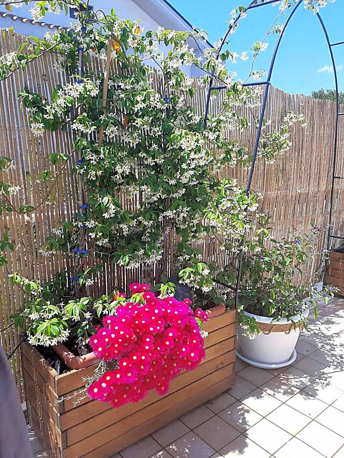 B&B SMARTFIT HOUSE - Room & Relax in Pescara