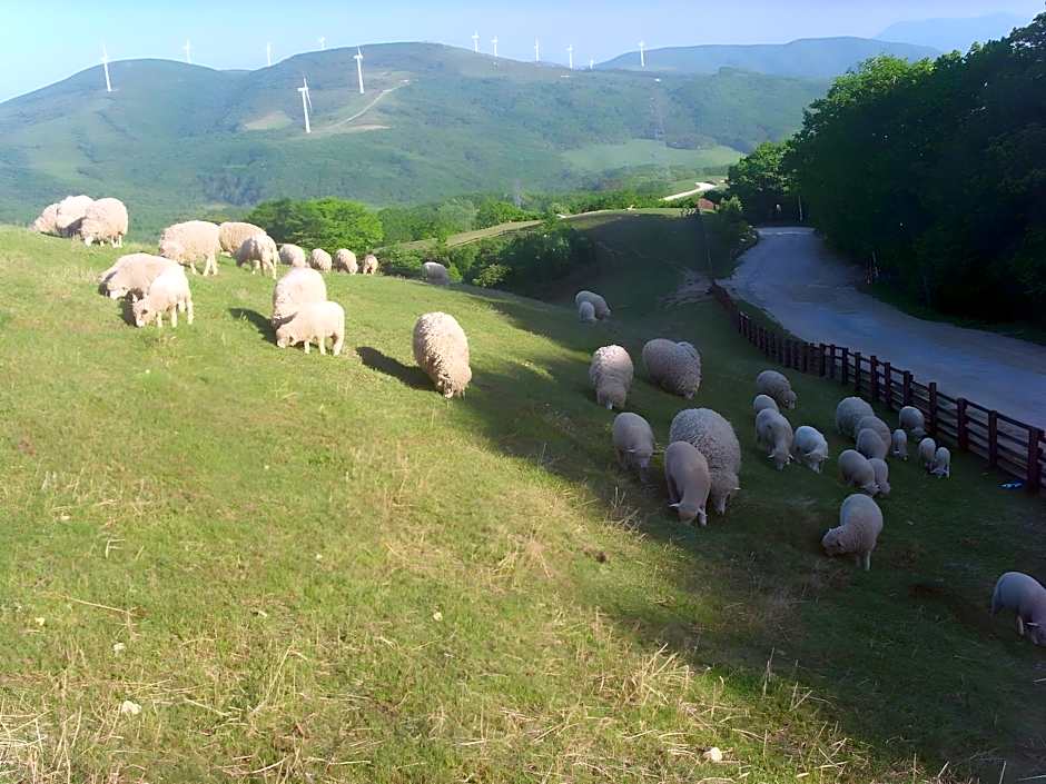 Daegwalnyeong Sanbang