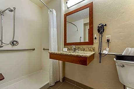 1 King Bed, Nonsmoking, Accessible
