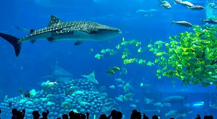 Chimelong Hengqin Bay Hotel