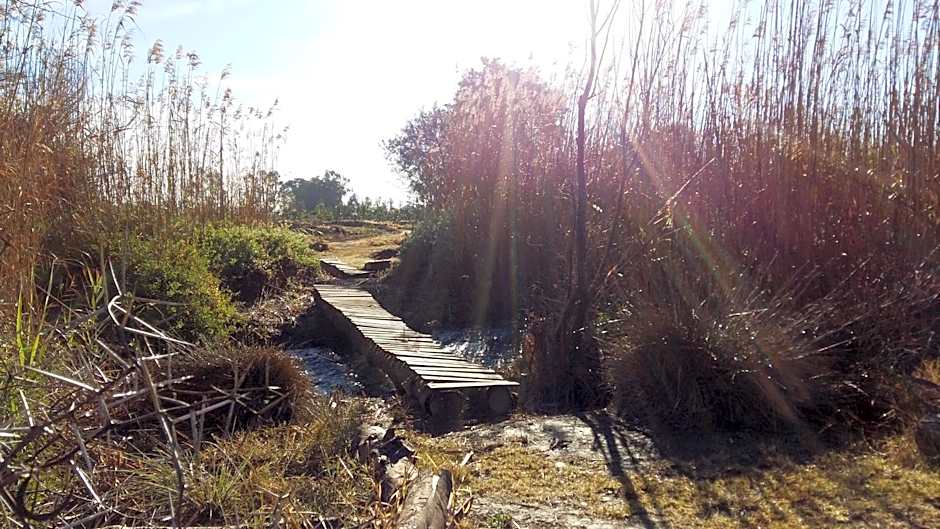 Gerald's Gift Guest House