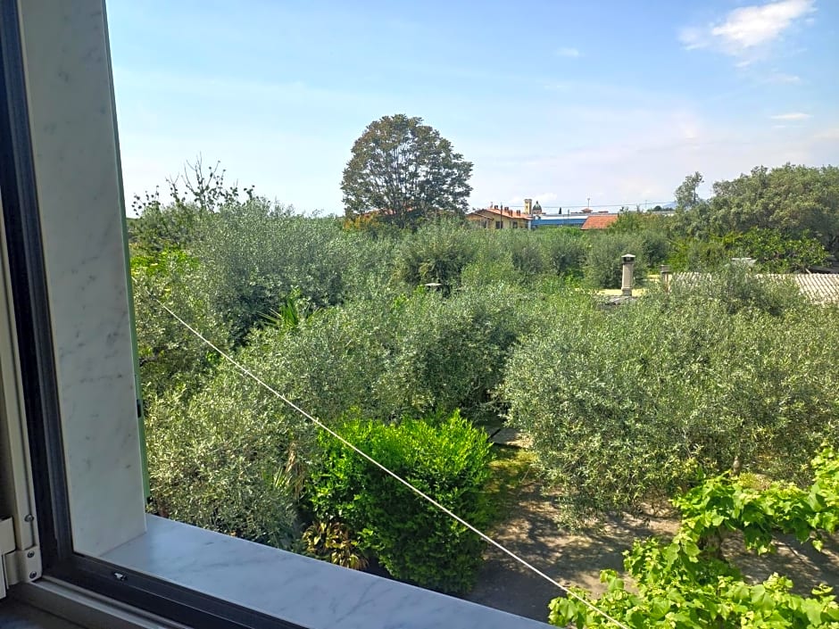 La madonnina
