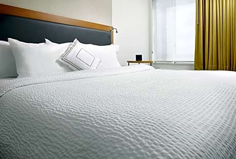 Suite, 1 Bedroom (Mobility/Hearing Access, Roll-In Shwr) (1 King Bed)
