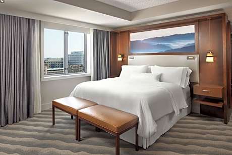 Classic King Room with Transfer Shower - Mobility Accessible