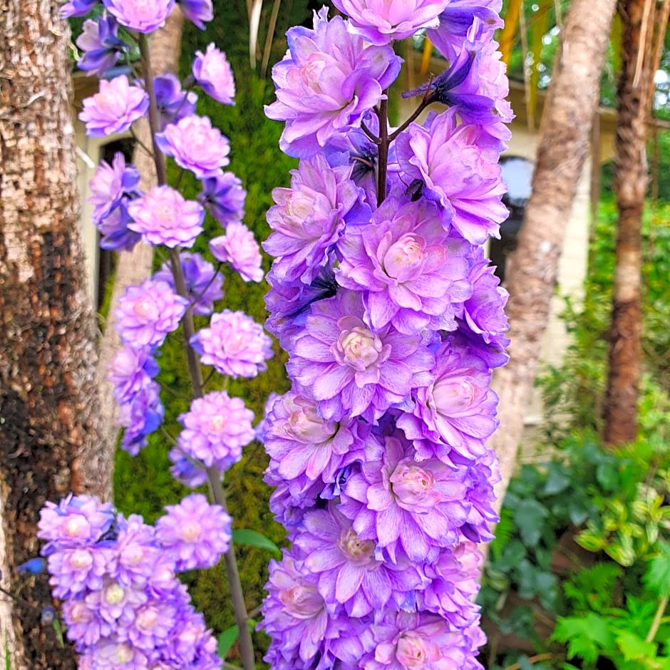 Eden's Rest Bed and Breakfast