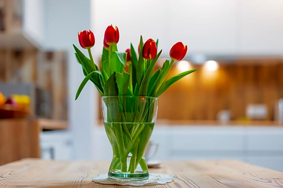 Apartamenty u Gąsieniców Zakopane