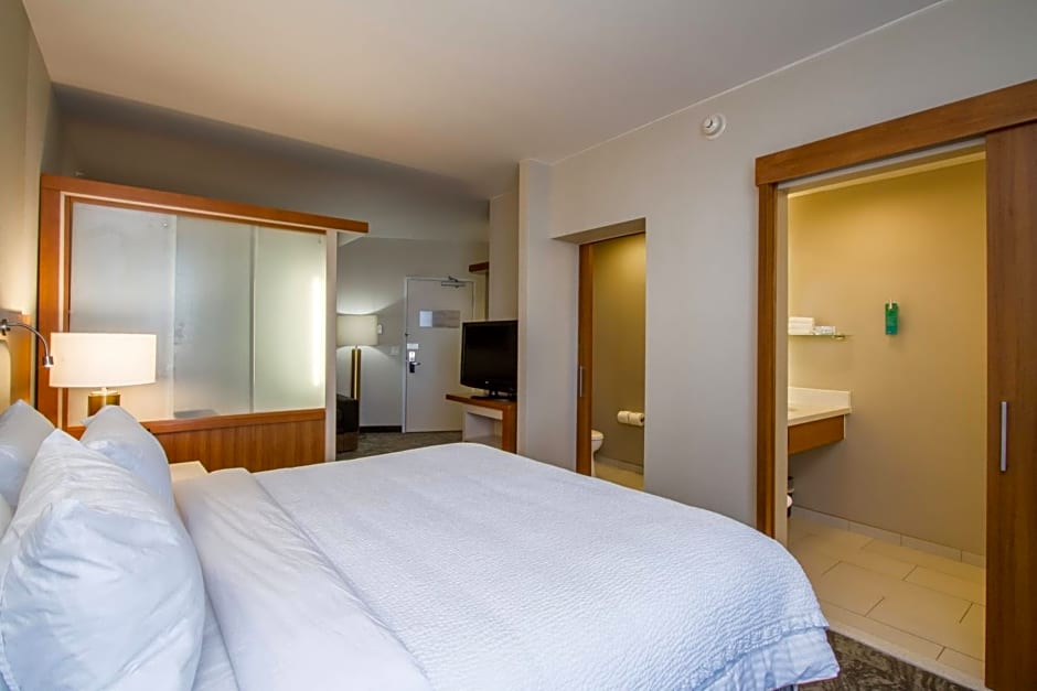 SpringHill Suites by Marriott San Angelo