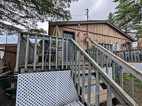 Modern Tiny Wood Cottage 03