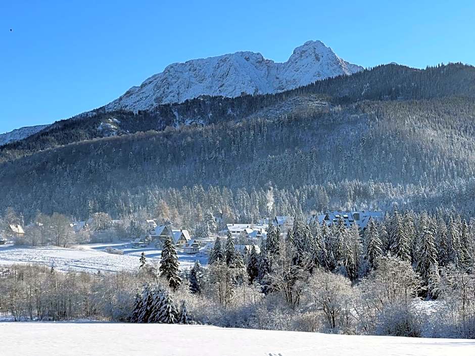 Apartamenty Riders Lodge Kościelisko Chotarz Bór