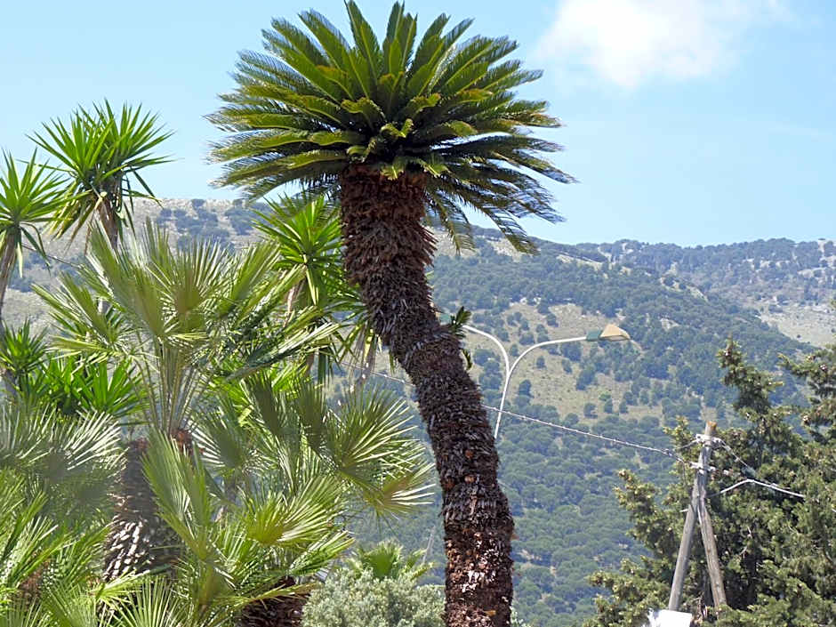 Villa Rosa Luxury Apartment