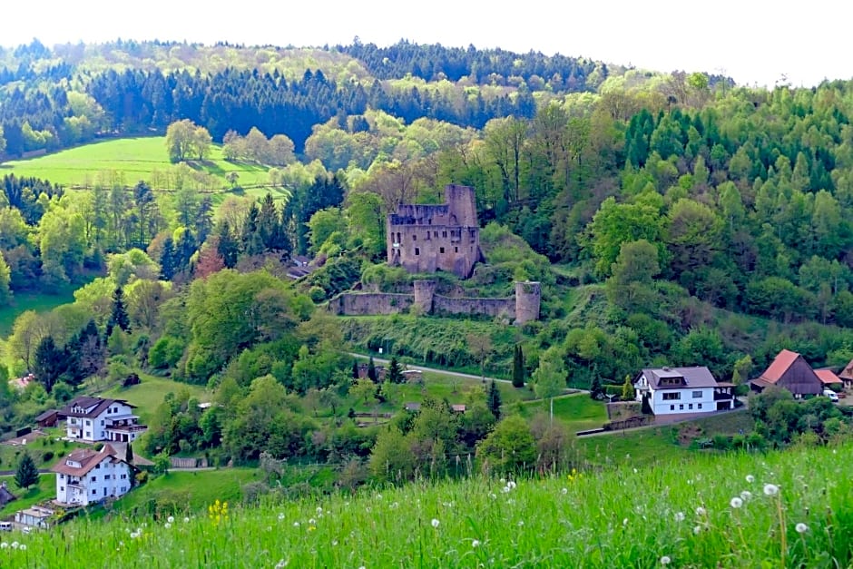 Hotel Grüner Baum mit Restaurant & Wellness